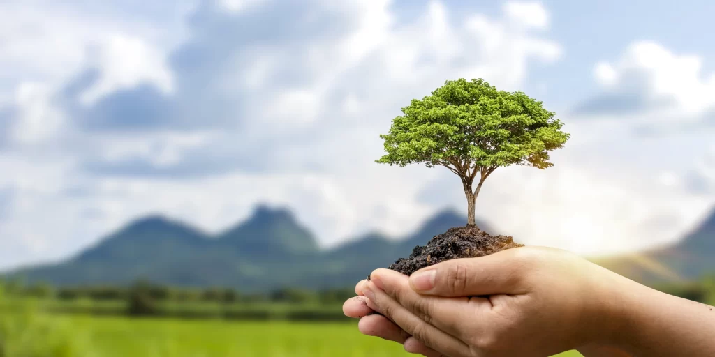 xinguan-Environment-1